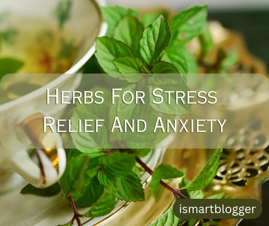 Herbs For Stress Relief And Anxiety